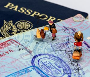 Destruction de faux passeports
